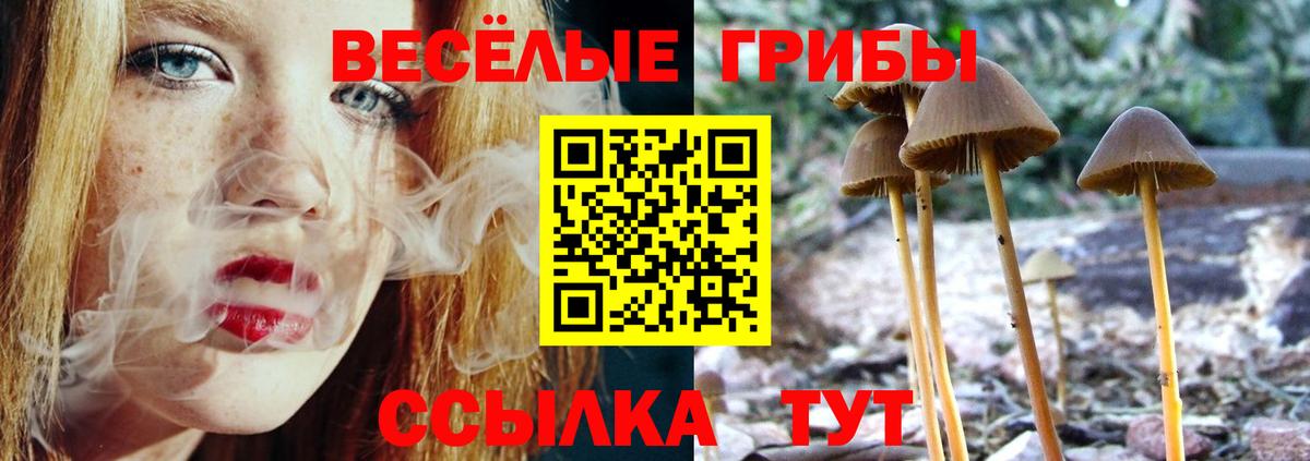 Хасавюрт  Псилоцибиновые грибы Cubensis  Вход с VPN  Галлюциногенные грибы MAGIC MUSHROOMS 